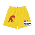 Trojan Gold EE Mesh shorts product photo