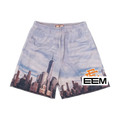 Skyline Wash EE Mesh shorts product photo