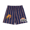 Navy Broncos Stripe EE Mesh shorts product photo
