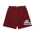 Burgundy Wine EE Mesh shorts product photo