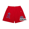 EE mesh shorts color red
