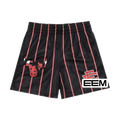 Black Bulls Pinstripe EE Mesh shorts product photo