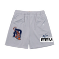 Detroit Grey EE Mesh shorts product photo
